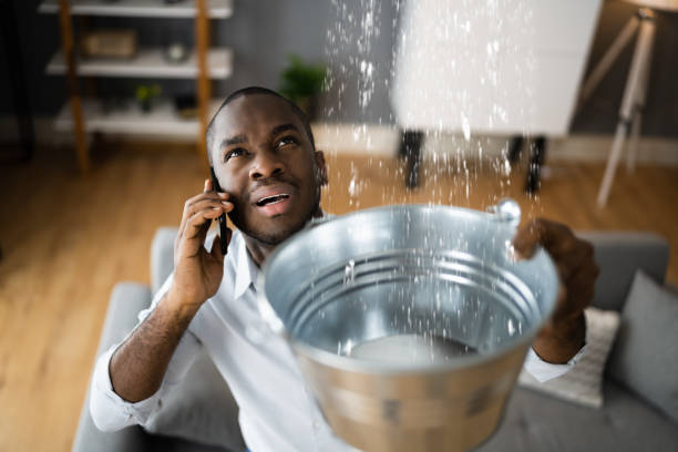 Best Sewage cleanup and water damage restoration  in Franklin, WI