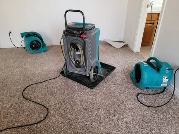 Best Water damage repair service  in Franklin, WI