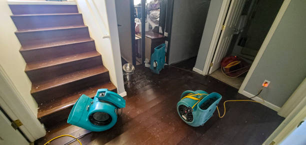 Best Commercial water damage restoration  in Franklin, WI