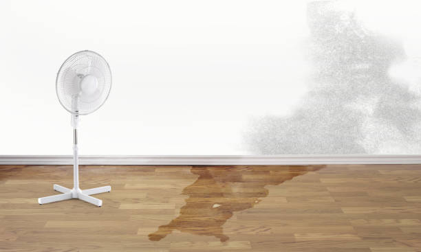 Best Water damage contractors near me  in Franklin, WI