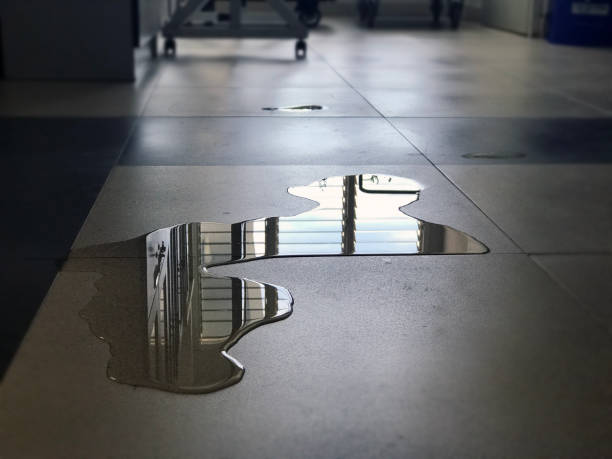Sewage cleanup and water damage restoration in Franklin, WI