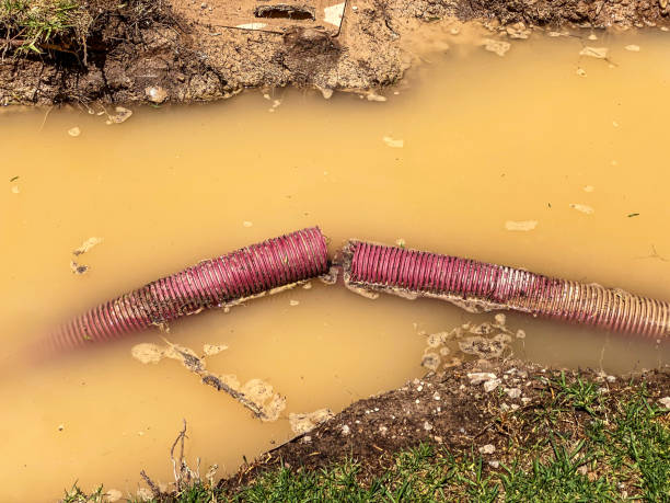 Best Water damage restoration process  in Franklin, WI